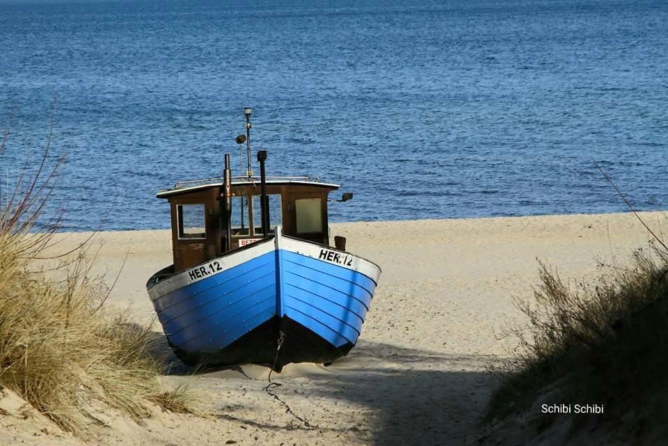 הרינגסדורף Pension "Am Fischerweg" מראה חיצוני תמונה